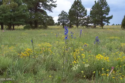Lot 5 Red Cabin Ranch Unit II -- #5, Vernon, AZ 85940 - Photo 5