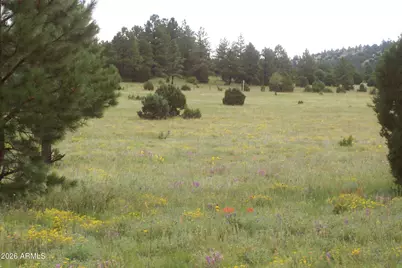 Lot 5 Red Cabin Ranch Unit II -- #5, Vernon, AZ 85940 - Photo 9