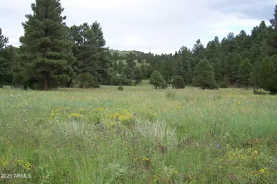 Lot 5 Red Cabin Ranch Unit II -- #5, Vernon, AZ 85940 - Photo 3