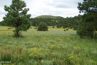 Lot 5 Red Cabin Ranch Unit II -- #5, Vernon, AZ 85940 - Photo 1