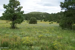 Lot 5 Red Cabin Ranch Unit II --, Vernon, AZ 85940 - Photo 1