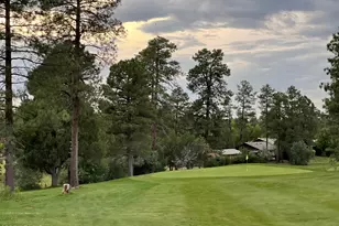 3361 W Hansen, Show Low, AZ 85901 - Photo 35