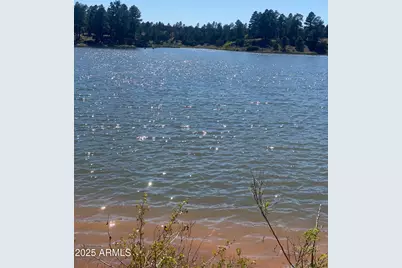 3361 W Hansen, Show Low, AZ 85901 - Photo 39