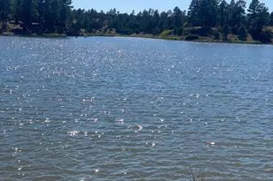 3361 W Hansen, Show Low, AZ 85901 - Photo 39