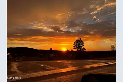 3361 W Hansen, Show Low, AZ 85901 - Photo 47