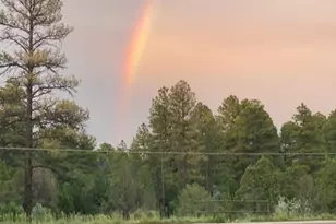 3361 W Hansen, Show Low, AZ 85901 - Photo 45