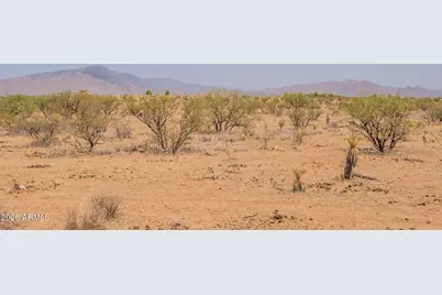 3154 W Cactus Blossom Court, Benson, AZ 85602 - Photo 69