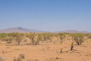 3154 W Cactus Blossom Ct, Benson, AZ 85602 - Photo 69