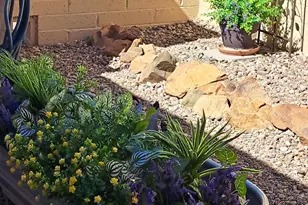 13264 W Countryside Dr W, Sun City West, AZ 85375 - Photo 23