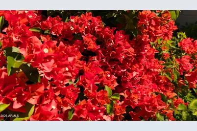 1643 N 22nd Place, Phoenix, AZ 85006 - Photo 3