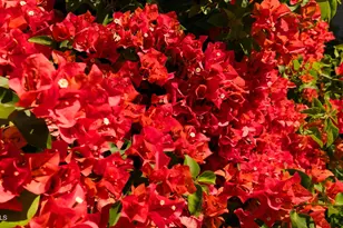 1643 N 22nd Pl, Phoenix, AZ 85006 - Photo 3