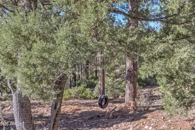 315 E Middle Mountain Lane, Show Low, AZ 85901 - Photo 49