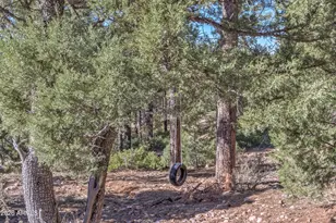 315 E Middle Mountain Ln, Show Low, AZ 85901 - Photo 49