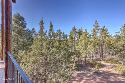 315 E Middle Mountain Lane, Show Low, AZ 85901 - Photo 51