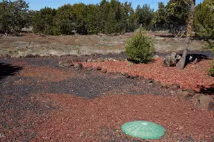 45 County Rd, Vernon, AZ 85940 - Photo 25