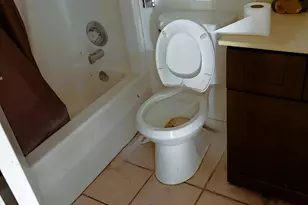 4547 W McLellan Rd, Glendale, AZ 85301 - Photo 3