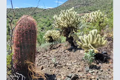 16144 N Mountain Parkway #162, Fountain Hills, AZ 85268 - Photo 11