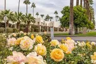 699 W Village Pkwy, Litchfield Park, AZ 85340 - Photo 57