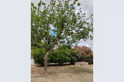 22744 E Carla Vista Drive, Mesa, AZ 85212 - Photo 47