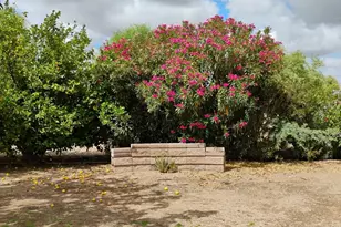 22744 E Carla Vista Dr, Mesa, AZ 85212 - Photo 49