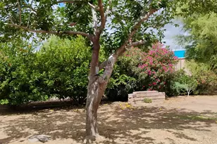 22744 E Carla Vista Dr, Mesa, AZ 85212 - Photo 49