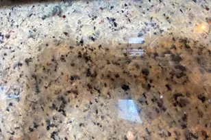 2010 S Crow Ave, Apache Junction, AZ 85119 - Photo 17