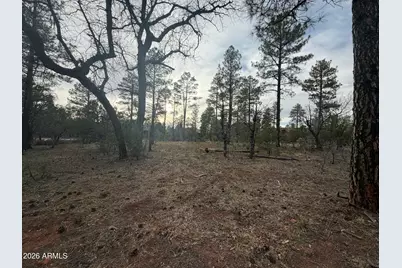 5961 E Starlight Ridge Road #10, Lakeside, AZ 85929 - Photo 11