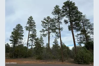 5961 E Starlight Ridge Road #10, Lakeside, AZ 85929 - Photo 13