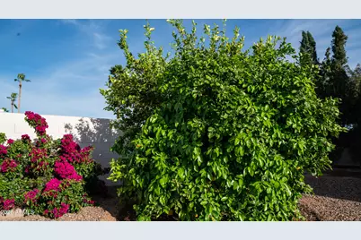 408 E Meadows Lane, Gilbert, AZ 85234 - Photo 31