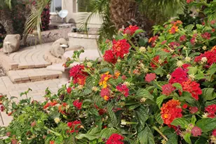 42441 W Blue Suede Shoes Ln, Maricopa, AZ 85138 - Photo 109