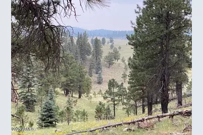 2601 Thunderbolt Circle #A14, Pinetop, AZ 85935 - Photo 37