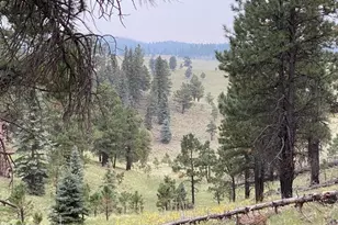 2601 Thunderbolt Cir, Pinetop, AZ 85935 - Photo 37