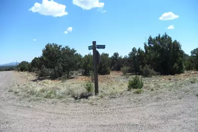 7856 Manzanita Court #119, Happy Jack, AZ 86024 - Photo 3