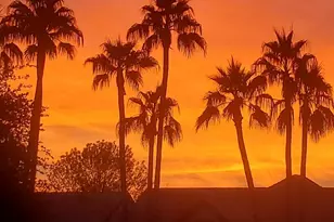 1410 S Roanoke St, Mesa, AZ 85206 - Photo 31