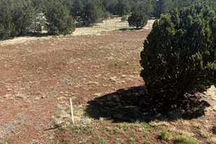 7502 Daisy Drive, Williams, AZ 86046 - Photo 55