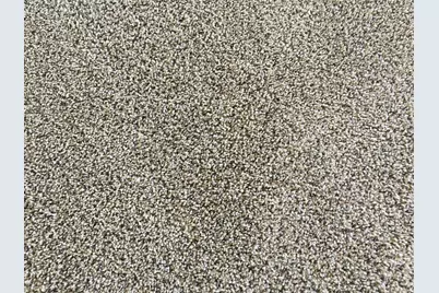 2732 W Florimond Road, Phoenix, AZ 85086 - Photo 17