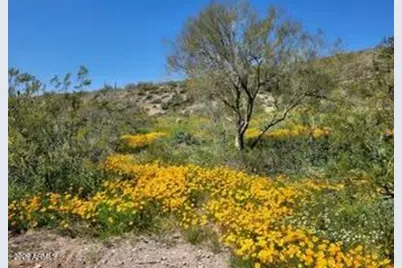 13318 N Goldfield Road #9, Fort McDowell, AZ 85264 - Photo 9