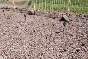 811 E Washington St, Florence, AZ 85132 - Photo 35