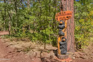 654 Monarch Circle, Pinetop-Lakeside, AZ 85929 - Photo 1