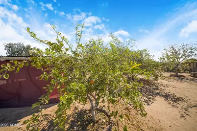 13105 S 209th Lane, Buckeye, AZ 85326 - Photo 35