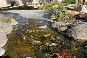 14554 W Desert Cove Rd, Surprise, AZ 85379 - Photo 47