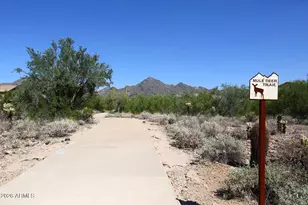 10679 E Raintree Dr, Scottsdale, AZ 85255 - Photo 69