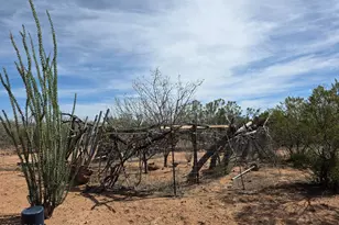 1733 N Gunsmoke Ave, Sierra Vista, AZ 85635 - Photo 21
