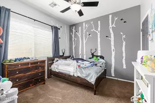 8924 N 182nd Ave, Waddell, AZ 85355 - Photo 17