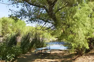 32021 N 143rd Pl, Scottsdale, AZ 85262 - Photo 99