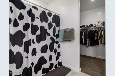 3289 W Spaulding Avenue, Apache Junction, AZ 85120 - Photo 21