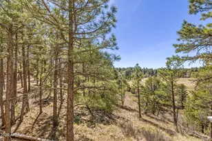 4425 E Savannah Cir, Flagstaff, AZ 86004 - Photo 37