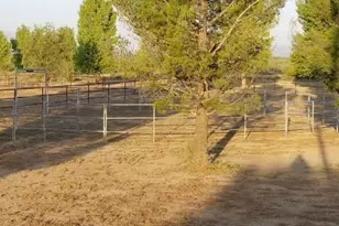 3645 E Robbs Rd, Willcox, AZ 85643 - Photo 11