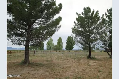3645 E Robbs Road, Willcox, AZ 85643 - Photo 9