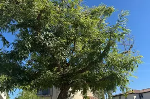 9410 S 34th Ln, Laveen, AZ 85339 - Photo 47